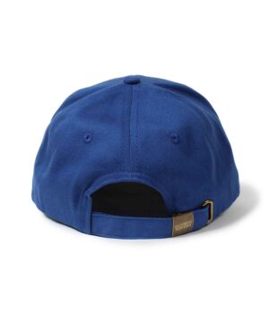 6 PANEL CAP