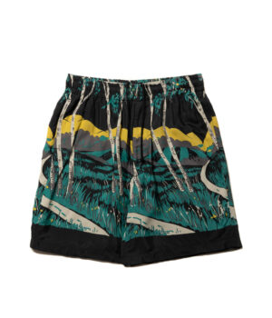 Rayon Easy Shorts