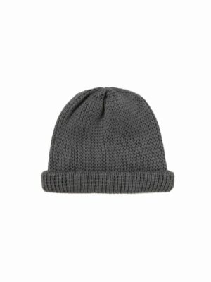 Lowgauge Roll Up Beanie